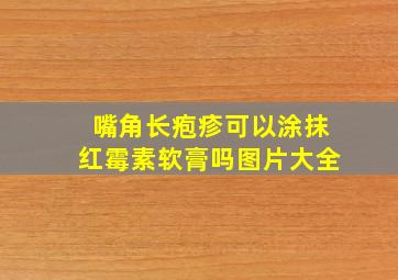 嘴角长疱疹可以涂抹红霉素软膏吗图片大全