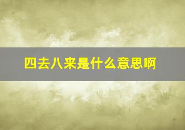 四去八来是什么意思啊