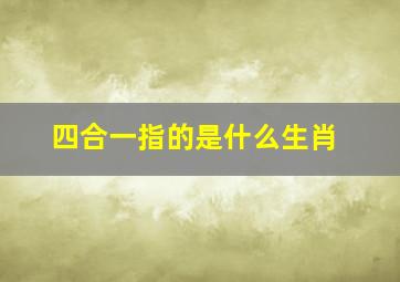 四合一指的是什么生肖