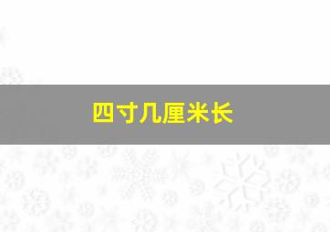 四寸几厘米长