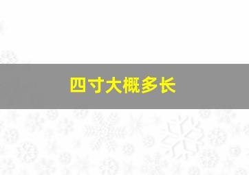 四寸大概多长