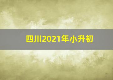 四川2021年小升初