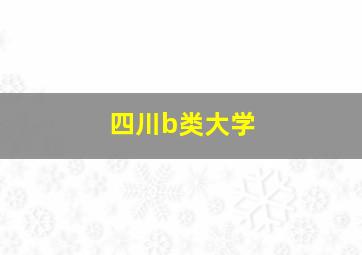 四川b类大学