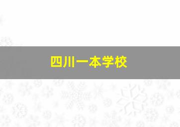 四川一本学校