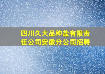 四川久大品种盐有限责任公司安徽分公司招聘