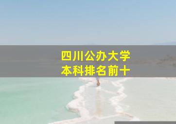 四川公办大学本科排名前十