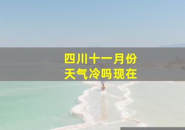 四川十一月份天气冷吗现在