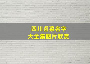 四川卤菜名字大全集图片欣赏