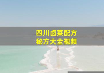 四川卤菜配方秘方大全视频