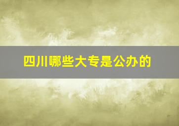 四川哪些大专是公办的