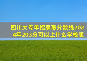 四川大专单招录取分数线2024年203分可以上什么学校呢