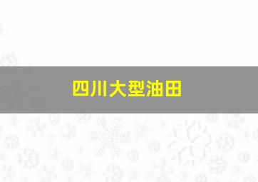 四川大型油田