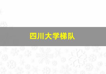 四川大学梯队