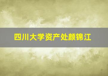 四川大学资产处颜锦江