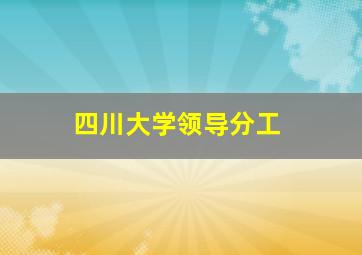 四川大学领导分工