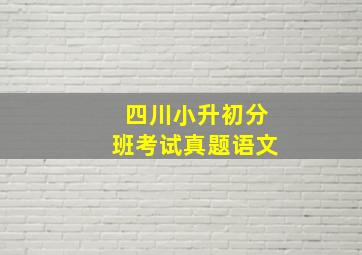 四川小升初分班考试真题语文