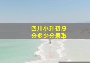 四川小升初总分多少分录取