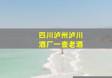 四川泸州泸川酒厂一壶老酒