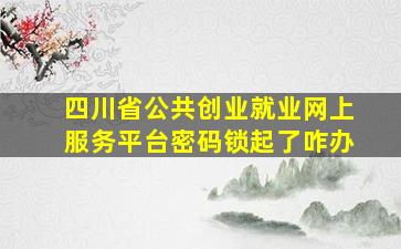 四川省公共创业就业网上服务平台密码锁起了咋办