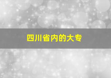 四川省内的大专