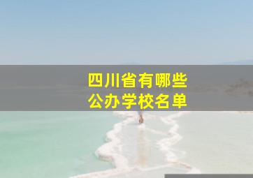 四川省有哪些公办学校名单