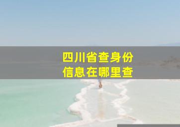 四川省查身份信息在哪里查