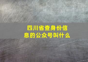 四川省查身份信息的公众号叫什么