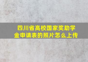 四川省高校国家奖助学金申请表的照片怎么上传