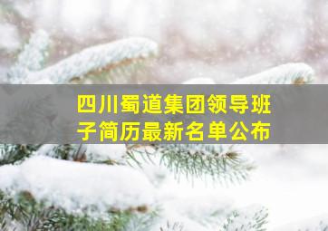 四川蜀道集团领导班子简历最新名单公布