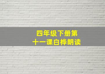 四年级下册第十一课白桦朗读