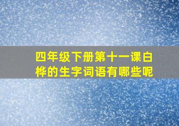 四年级下册第十一课白桦的生字词语有哪些呢