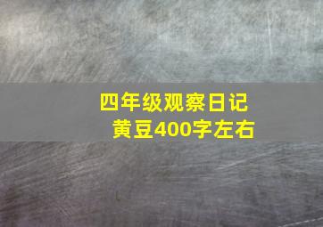 四年级观察日记黄豆400字左右