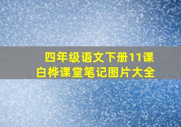 四年级语文下册11课白桦课堂笔记图片大全