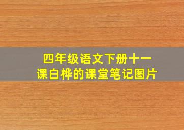 四年级语文下册十一课白桦的课堂笔记图片