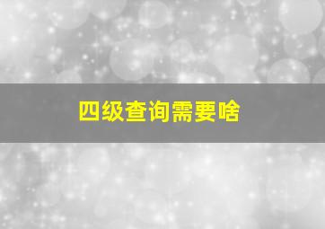 四级查询需要啥