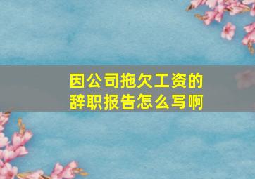 因公司拖欠工资的辞职报告怎么写啊