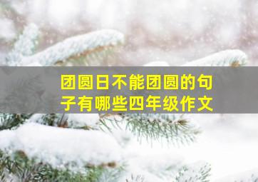 团圆日不能团圆的句子有哪些四年级作文