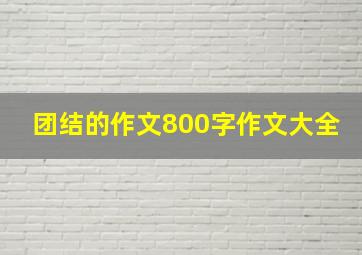 团结的作文800字作文大全