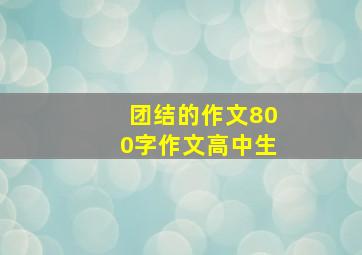 团结的作文800字作文高中生