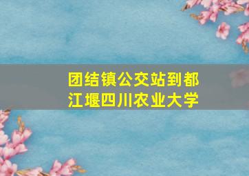 团结镇公交站到都江堰四川农业大学