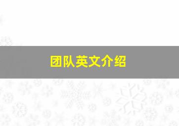 团队英文介绍