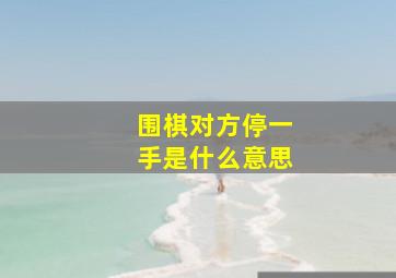 围棋对方停一手是什么意思