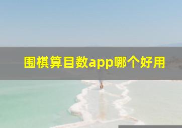 围棋算目数app哪个好用