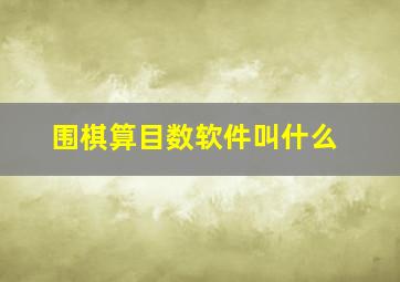 围棋算目数软件叫什么