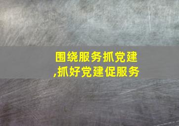 围绕服务抓党建,抓好党建促服务