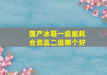 国产冰箱一级能耗合资品二级哪个好