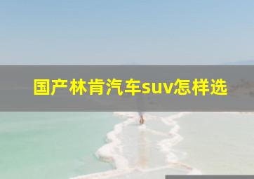 国产林肯汽车suv怎样选