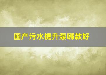 国产污水提升泵哪款好