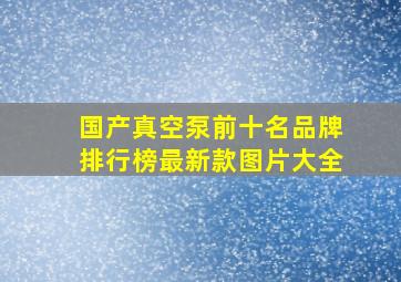 国产真空泵前十名品牌排行榜最新款图片大全