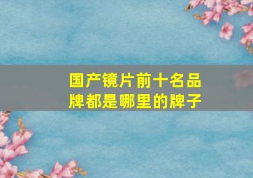 国产镜片前十名品牌都是哪里的牌子